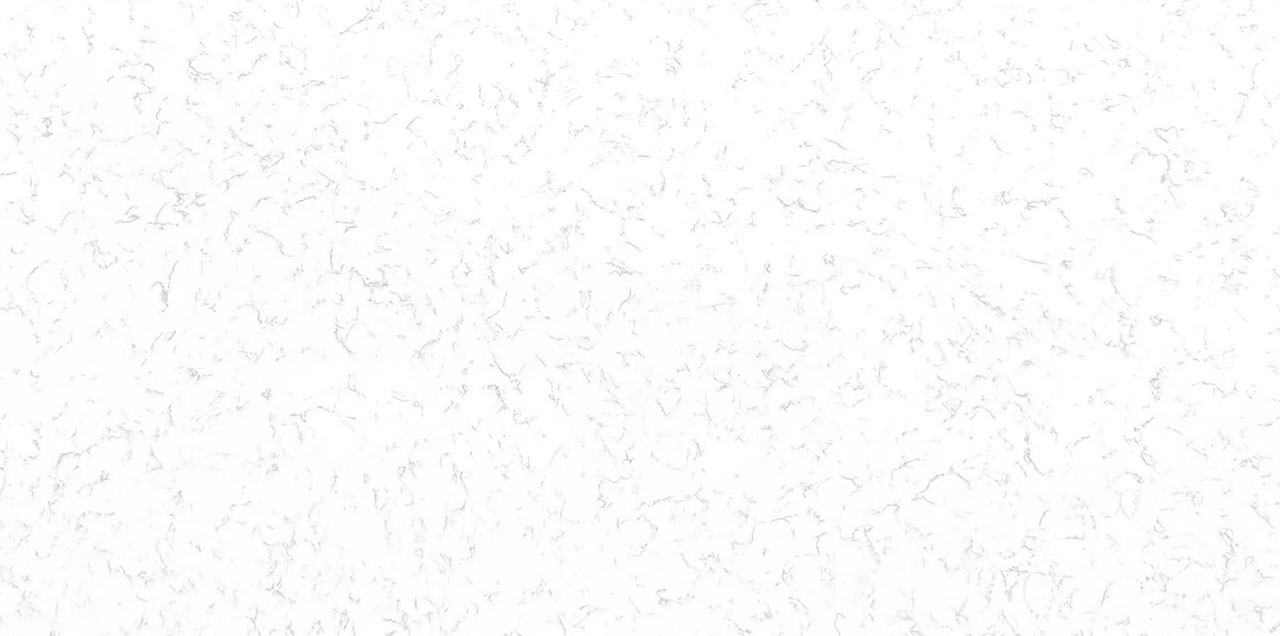 9638卡拉拉白
